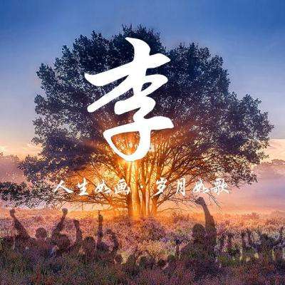 三国连环战手游九游版下载