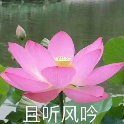 天启之门手游九游版下载