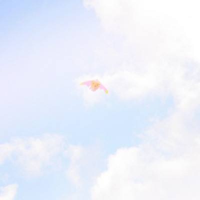 三十六策无限版下载